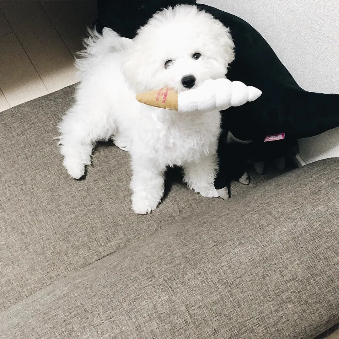 Pilo